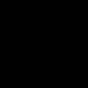 Meet your Posher, Maggie